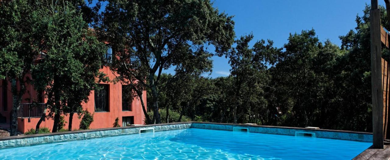 Hotel Restaurant Spa Disini Montpellier Est, The Originals Relais Castries Exteriér fotografie